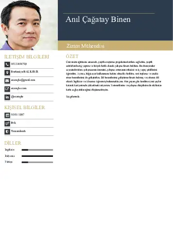 Ziraat Mühendisi Cv Örnekleri cv indir